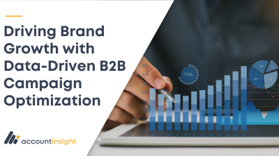 Driving Brand Growth with Data-Driven B2B Campaign Optimization